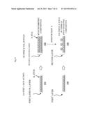 METHOD OF MANUFACTURING SEMICONDUCTOR DEVICE AND SUBSTRATE PROCESSING     APPARATUS diagram and image