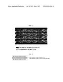 REINFORCED COMPOSITE ELECTROLYTE MEMBRANE FOR FUEL CELL diagram and image