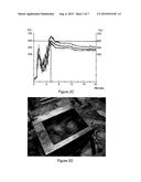 DOUGH COMPRISING PLANT MATERIAL FROM DUCKWEEDS AND FOOD PRODUCTS PREPARED     THEREFROM diagram and image