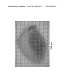 ENZYME GRANULE BLENDS CONSISTING ESSENTIALLY OF SODIUM SULFATE diagram and image