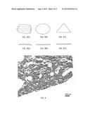 DRIED FOOD PRODUCTS FORMED FROM CULTURED MUSCLE CELLS diagram and image