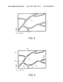 BIOLOGICAL INFORMATION PROCESSING APPARATUS, AND BIOLOGICAL INFORMATION     PROCESSING METHOD diagram and image