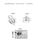 ULTRASOUND DIAGNOSIS APPARATUS AND IMAGE PROCESSING METHOD diagram and image