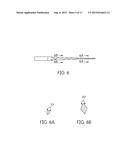 ENDODONTIC INSTRUMENTS diagram and image