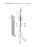 System and Methods for Treating a Bifurcation diagram and image