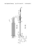 System and Methods for Treating a Bifurcation diagram and image