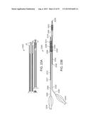 System and Methods for Treating a Bifurcation diagram and image