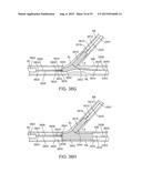 System and Methods for Treating a Bifurcation diagram and image