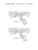 System and Methods for Treating a Bifurcation diagram and image