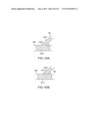 System and Methods for Treating a Bifurcation diagram and image