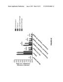 METHODS OF TREATING A BRUTON S TYROSINE KINASE DISEASE OR DISORDER diagram and image