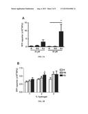 POLYPEPTIDE HYDROGELS AND USES RELATED THERETO diagram and image