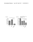 GALECTIN-3 INHIBITOR (GAL-3M) IS ASSOCIATED WITH ADDITIVE ANTI-MYELOMA AND     ANTI-SOLID TUMOR EFFECTS, DECREASED OSTEOCLASTOGENESIS AND ORGAN     PROTECTION WHEN USED IN COMBINATION WITH PROTEASOME INHIBITORS diagram and image