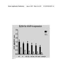 GALECTIN-3 INHIBITOR (GAL-3M) IS ASSOCIATED WITH ADDITIVE ANTI-MYELOMA AND     ANTI-SOLID TUMOR EFFECTS, DECREASED OSTEOCLASTOGENESIS AND ORGAN     PROTECTION WHEN USED IN COMBINATION WITH PROTEASOME INHIBITORS diagram and image