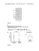 FIBROBLAST GROWTH FACTOR-9 PROMOTES HAIR FOLLICLE REGENERATION AFTER     WOUNDING diagram and image