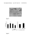 FIBROBLAST GROWTH FACTOR-9 PROMOTES HAIR FOLLICLE REGENERATION AFTER     WOUNDING diagram and image