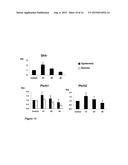 FIBROBLAST GROWTH FACTOR-9 PROMOTES HAIR FOLLICLE REGENERATION AFTER     WOUNDING diagram and image