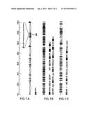 ALLELIC VARIANTS OF HUMAN FACTOR VIII diagram and image