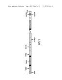 ALLELIC VARIANTS OF HUMAN FACTOR VIII diagram and image