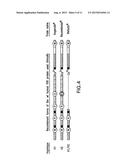 ALLELIC VARIANTS OF HUMAN FACTOR VIII diagram and image