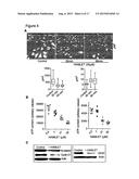 PROPHYLACTIC AND NUTRACEUTICAL THERAPY diagram and image