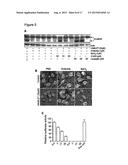 PROPHYLACTIC AND NUTRACEUTICAL THERAPY diagram and image