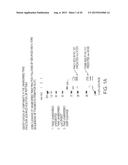 IMMUNOGENIC COMPOSITIONS FOR THE PREVENTION AND TREATMENT OF MENINGOCOCCAL     DISEASE diagram and image