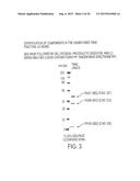 IMMUNOGENIC COMPOSITIONS FOR THE PREVENTION AND TREATMENT OF MENINGOCOCCAL     DISEASE diagram and image