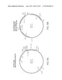 IMMUNOGENIC COMPOSITIONS FOR THE PREVENTION AND TREATMENT OF MENINGOCOCCAL     DISEASE diagram and image