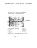 IMMUNOGENIC COMPOSITIONS FOR THE PREVENTION AND TREATMENT OF MENINGOCOCCAL     DISEASE diagram and image