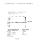 IMMUNOGENIC COMPOSITIONS FOR THE PREVENTION AND TREATMENT OF MENINGOCOCCAL     DISEASE diagram and image