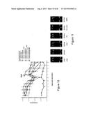 CELLULAR VACCINE AND METHOD OF INDUCING AN IMMUNE RESPONSE IN A SUBJECT diagram and image