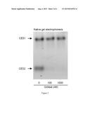 MODULATORS OF DRUGS USING CARBOXYLESTERASE SELECTIVE INHIBITORS diagram and image