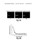 COMPOSITIONS FOR THE DELIVERY OF RNA AND DRUGS INTO CELLS diagram and image