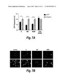 COMPOSITIONS FOR THE DELIVERY OF RNA AND DRUGS INTO CELLS diagram and image