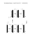 ANISOTROPIC NANOPOROUS COATINGS FOR MEDICAL IMPLANTS diagram and image