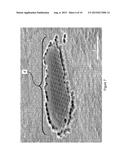 ANISOTROPIC NANOPOROUS COATINGS FOR MEDICAL IMPLANTS diagram and image