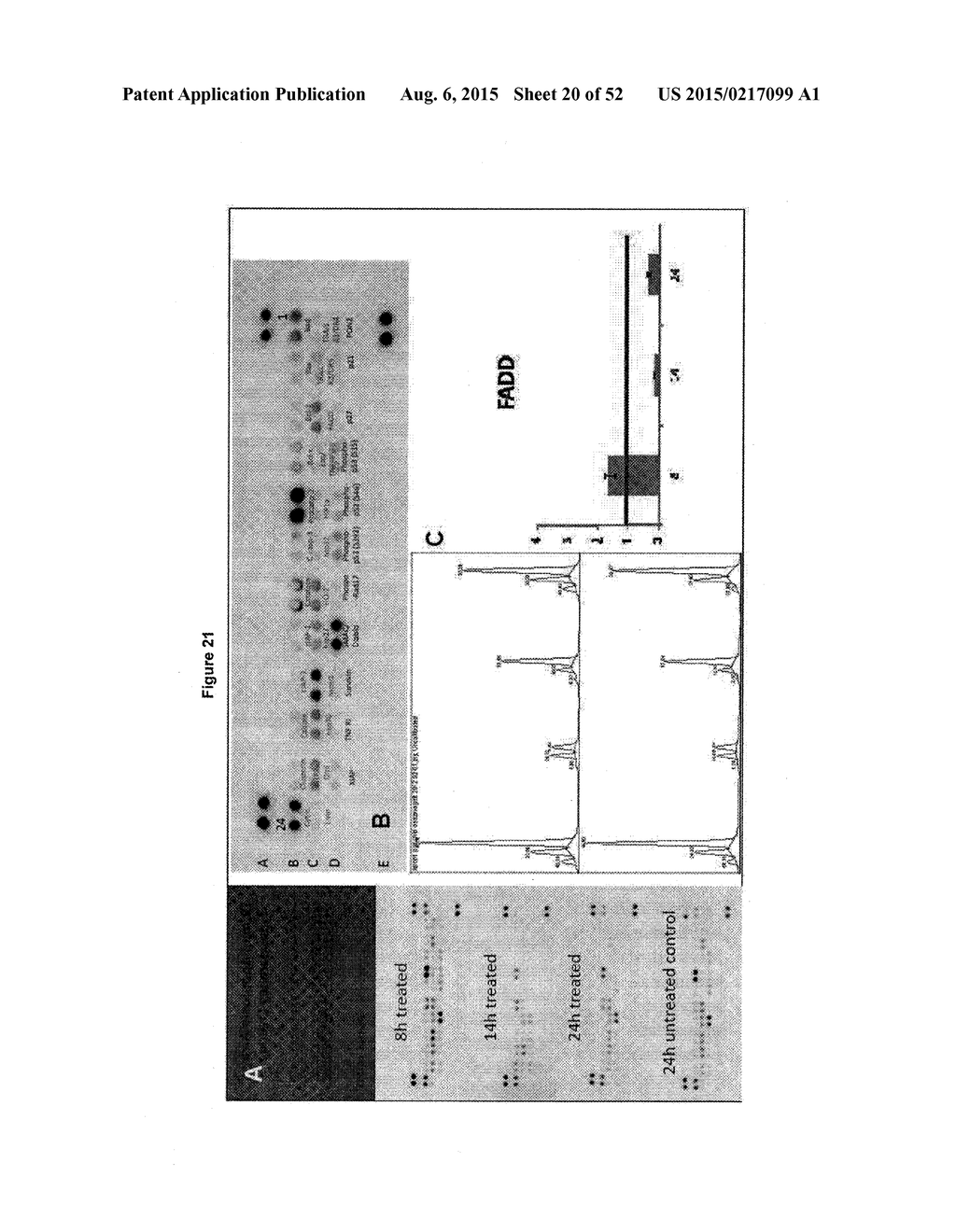 TUMOR VACCINATION - diagram, schematic, and image 21
