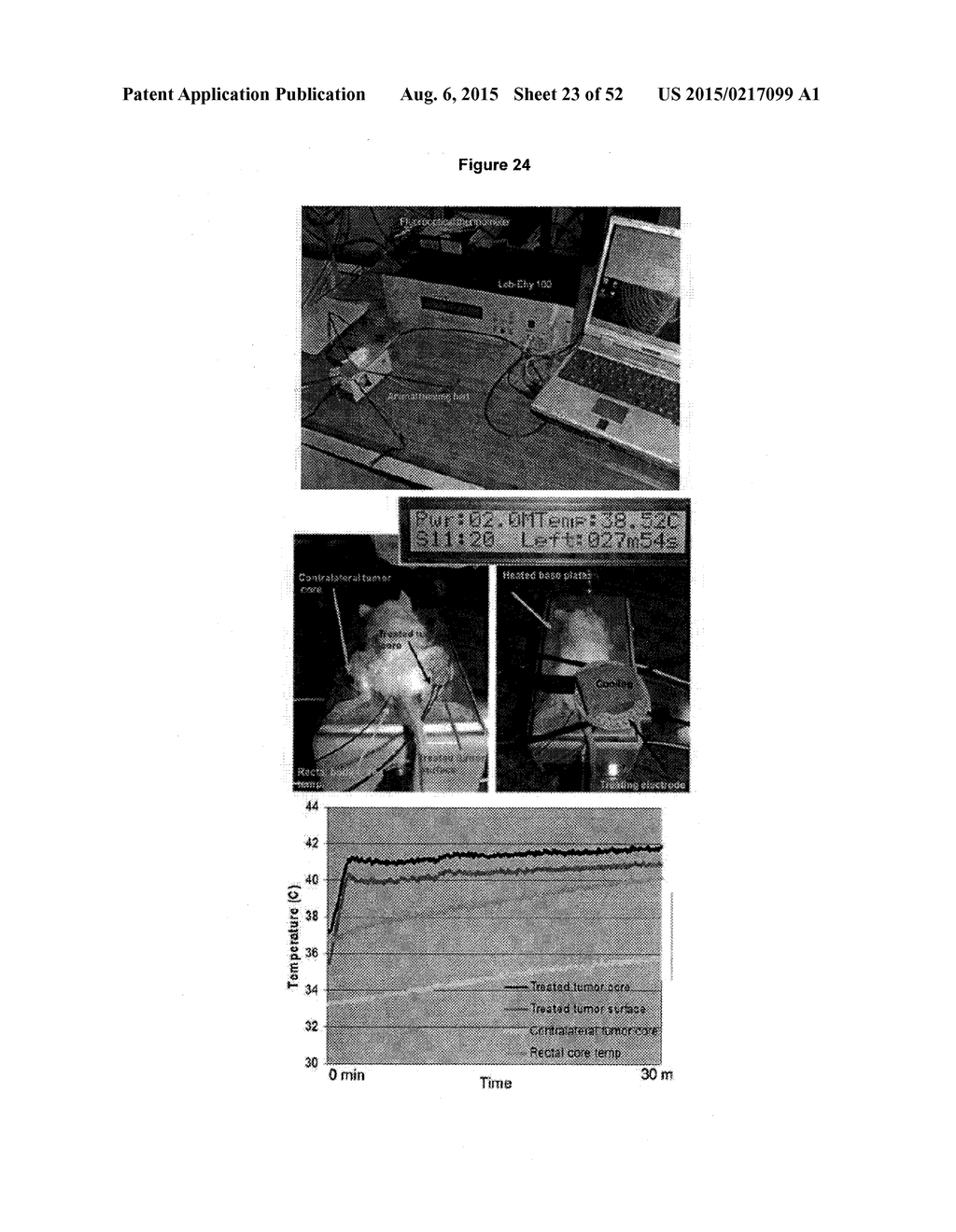 TUMOR VACCINATION - diagram, schematic, and image 24