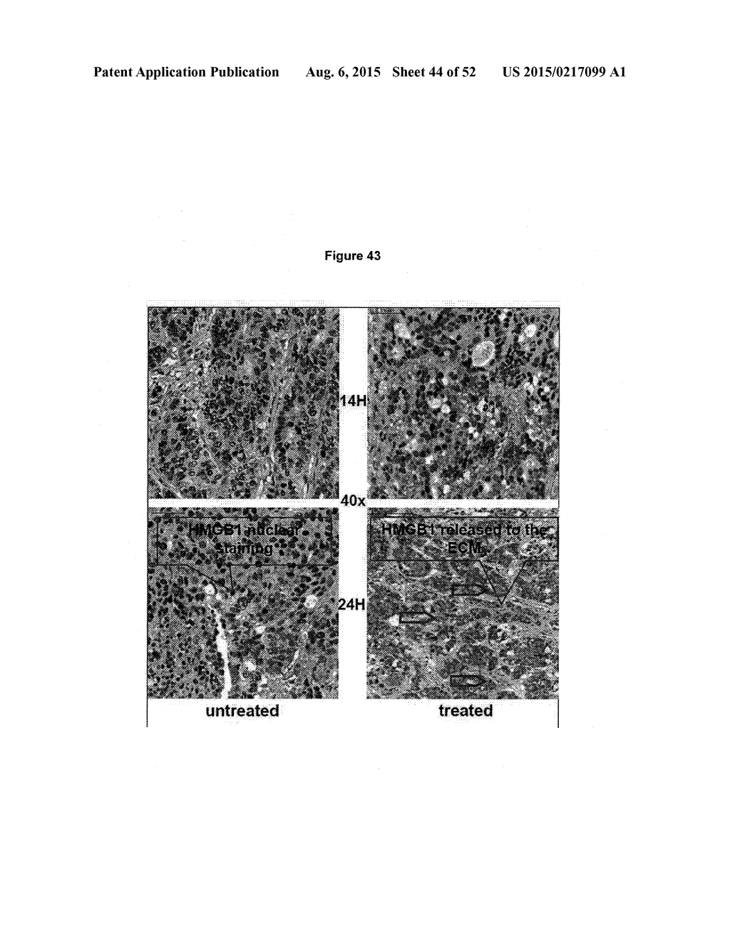 TUMOR VACCINATION - diagram, schematic, and image 45