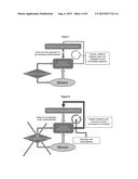 RF HYPERTHERMIA DEVICE FOR PERSONALIZED TREATMENT AND DIAGNOSIS diagram and image