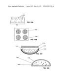 System for Optical Stimulation of Target Cells diagram and image