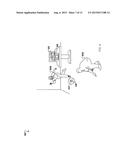 PHYSICAL INTERACTION DEVICE FOR PERSONAL ELECTRONICS AND METHOD FOR USE diagram and image