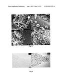 MAGNETIC ACTIVATED CARBON AND METHODS FOR PREPARING AND REGENERATING SUCH     MATERIALS diagram and image