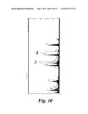 EXHAUST GAS PURIFICATION CATALYST, EXHAUST GAS PURIFICATION MONOLITH     CATALYST, AND METHOD FOR PRODUCING EXHAUST GAS PURIFICATION CATALYST diagram and image