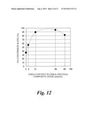 EXHAUST GAS PURIFICATION CATALYST, EXHAUST GAS PURIFICATION MONOLITH     CATALYST, AND METHOD FOR PRODUCING EXHAUST GAS PURIFICATION CATALYST diagram and image