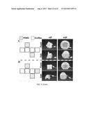 APPARATUS, SYSTEMS, AND METHODS FOR MODULAR SOFT ROBOTS diagram and image