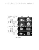 APPARATUS, SYSTEMS, AND METHODS FOR MODULAR SOFT ROBOTS diagram and image