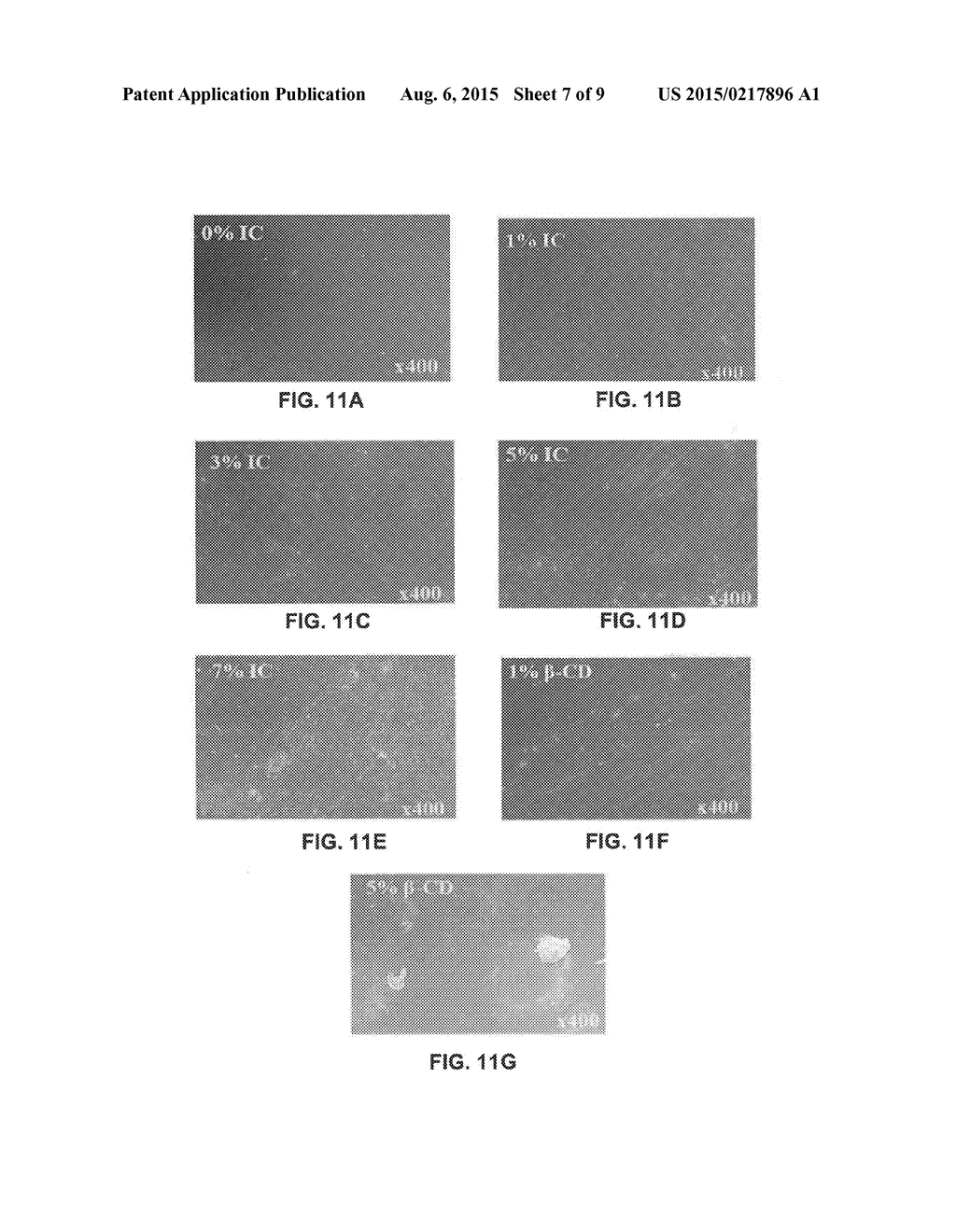 PACKAGING MATERIALS DERIVED FROM RENEWABLE RESOURCES AND INCLUDING A     CYCLODEXTRIN INCLUSION COMPLEX - diagram, schematic, and image 08