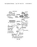 Process for producing highly oriented graphene films diagram and image